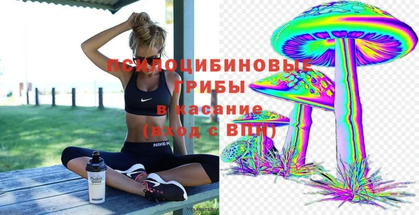 герыч Алзамай