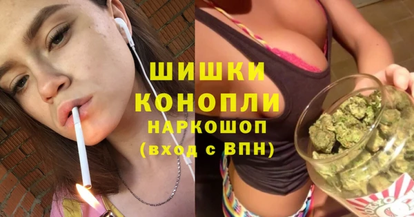 амф Заводоуковск